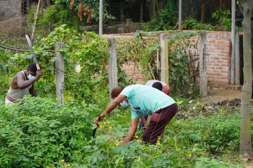 Community Clean-up Drives