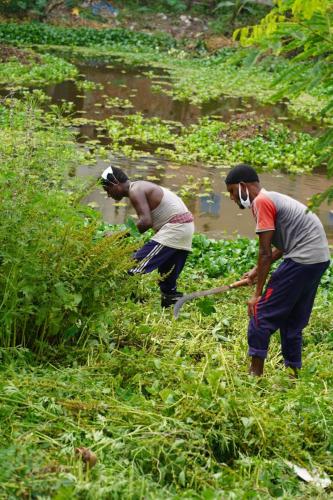 Community Clean-up Drives