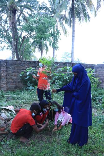 Tree Plantation